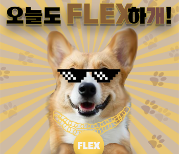 PETFLEX_sub_banner4